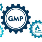 گواهینامه GMP خطوط تولید کارخانه داروسازی ریحانه تمدید شد